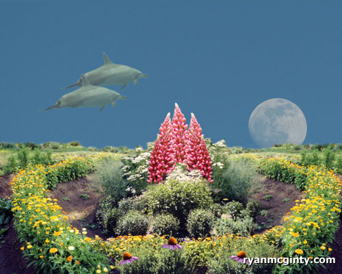 Dolphin Garden