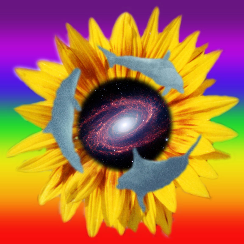 coverchakra