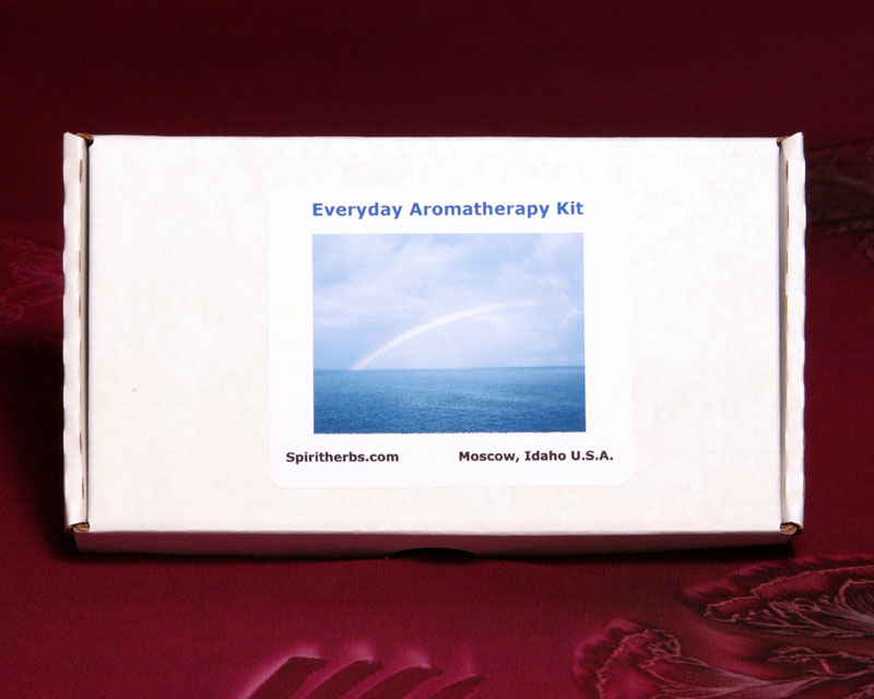 everydaykit