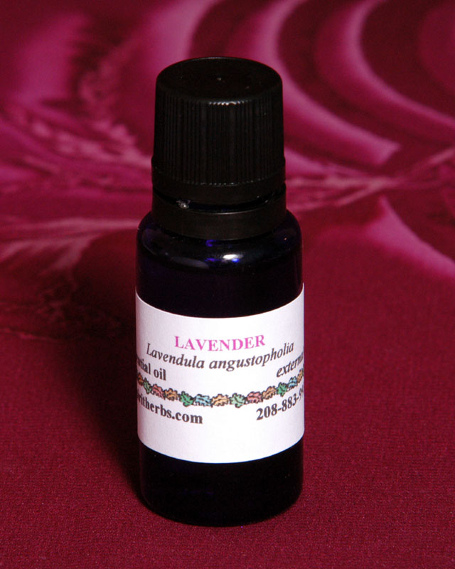 lavender